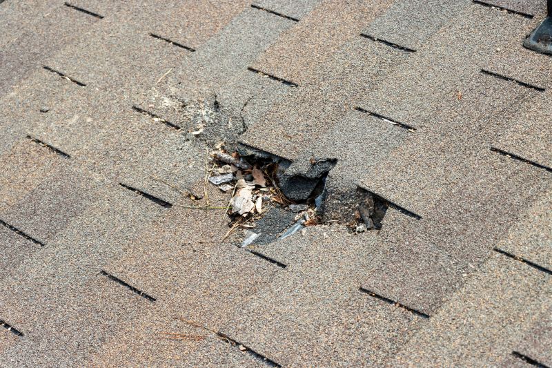 Asphalt Roof Leak Repair